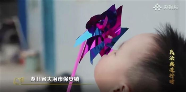 胎儿.png