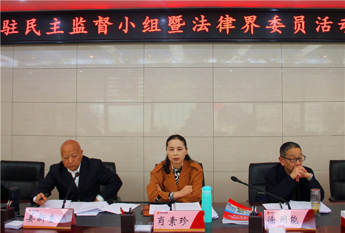 市政协派驻民主监督小组暨法律界委员活动小组工作座谈会在大冶法院召开 (5).jpg