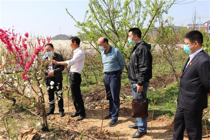 图为陈敬涛院长（左一）在保安镇农科村.jpg