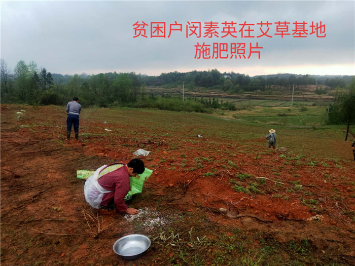 精准扶贫   播撒春的希望 (3).jpg