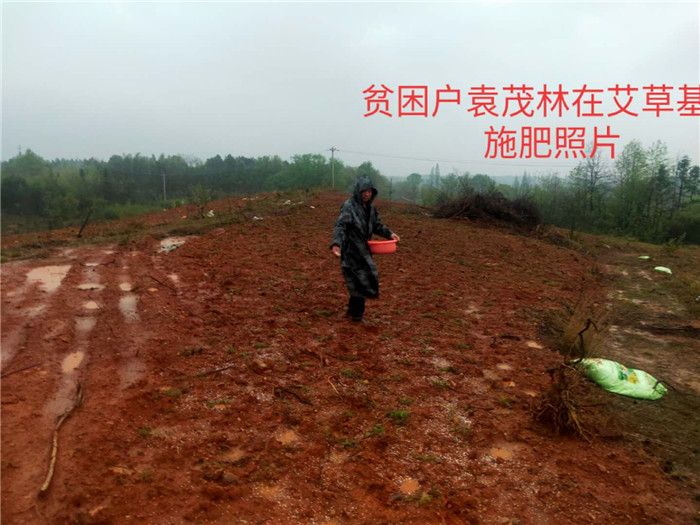 精准扶贫   播撒春的希望 (2).jpg