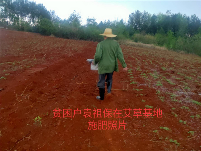 精准扶贫   播撒春的希望 (1).jpg
