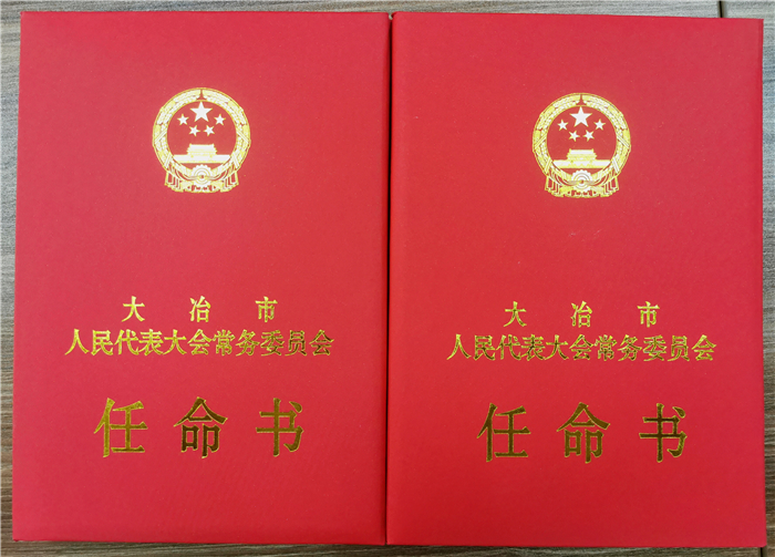 大冶法院举行6名副庭长任职宣誓仪式 (5).jpg