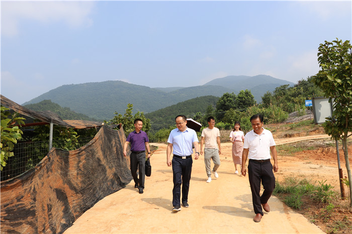 阳光洒满脱贫路  喜看山区结硕果 (1).jpg