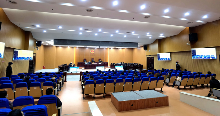 2020年度领导干部旁听庭审活动  (1).jpg