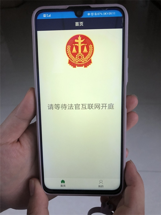 “星云庭审”VS疫情防控大冶法院金湖法庭“云间”开庭审理离婚案 (3).jpg